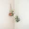 Hello Honey® 9.5" Terra Cotta Hanging Stoneware Planter with Cotton Hanger
